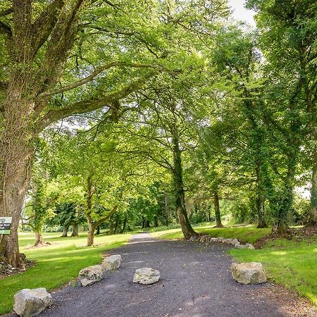 Breaffy Woods Hotel Каслбар Экстерьер фото